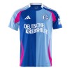 Goedkope Schalke 04 Special Shirt 2024-25
